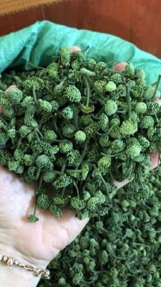 Nụ tam thất khô